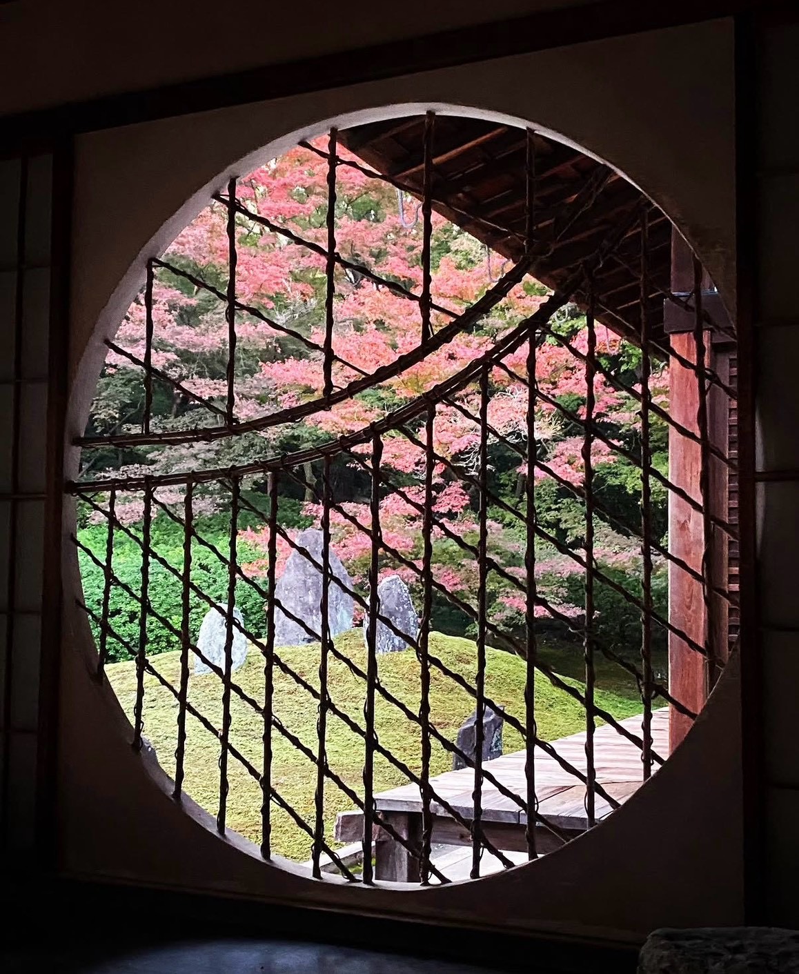 光明院 吉野窓から望む庭